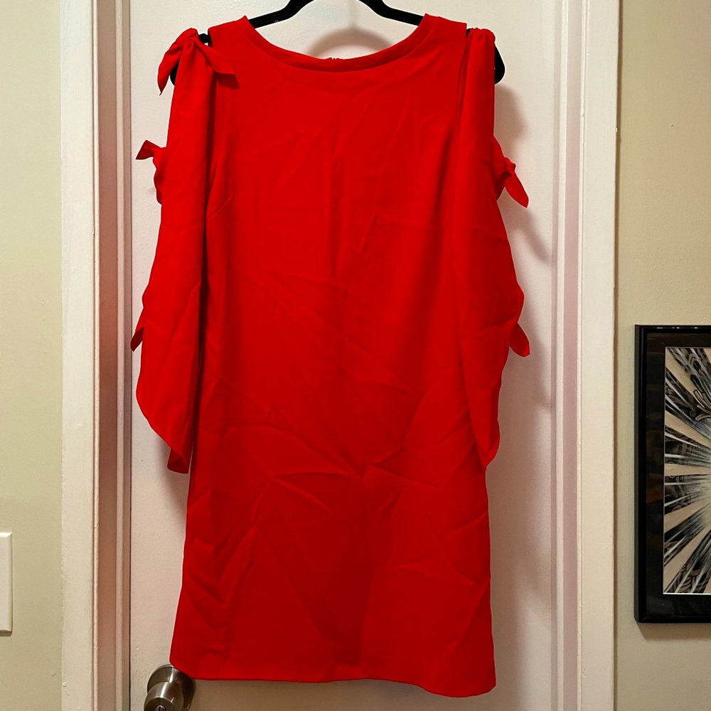 PINKO Tie Sleeved Red-Orange Dress